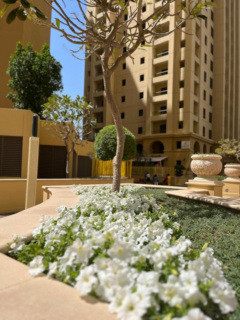 Pirates Bay Hostel Dubai Exterior foto